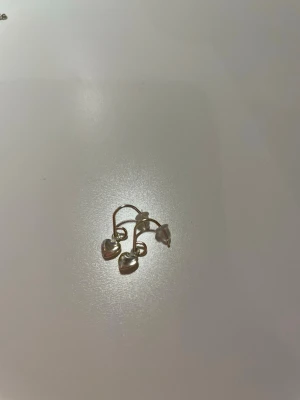 Silver örhängen  - Silver örhängen med ett litet hjärta på från guldfynd.