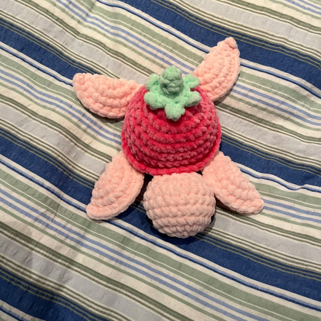 Virkad jordgubbssköldpadda  - 1