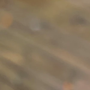 Grå Ralph Lauren Hoodie  - Snygg hoodie från Ralph Lauren i eftertraktat motiv. Storlek S. Väldigt fint skick, härlig och mjuk hoodie. Hör gärna av er vid funderingar✌️