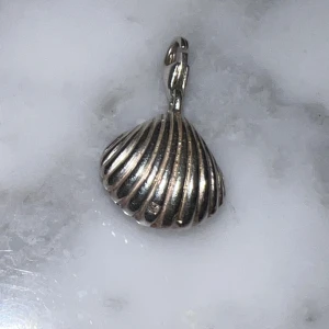 Thomas sabo snäcka hängsmycke - Unikt hängsmycke i form av en snäcka med räfflad yta. Tillverkat i silverfärgat material och har en liten ögla för att fästa i kedja. Perfekt för dig som gillar havsinspirerade detaljer och vill ha något som sticker ut.