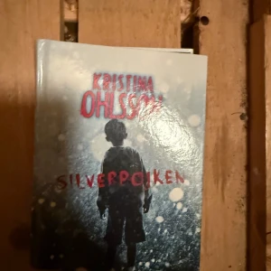 Silverpojken - En mystisk pojke i kortbyxor smyger omkring i snön och lämnar inga spår. Aladdin, Billie och Simona dras in i ett spännande mysterium där de försöker lösa gåtan om Silverpojken och det försvunna kyrksilvret. Perfekt för dig som gillar spänning och mysterier!