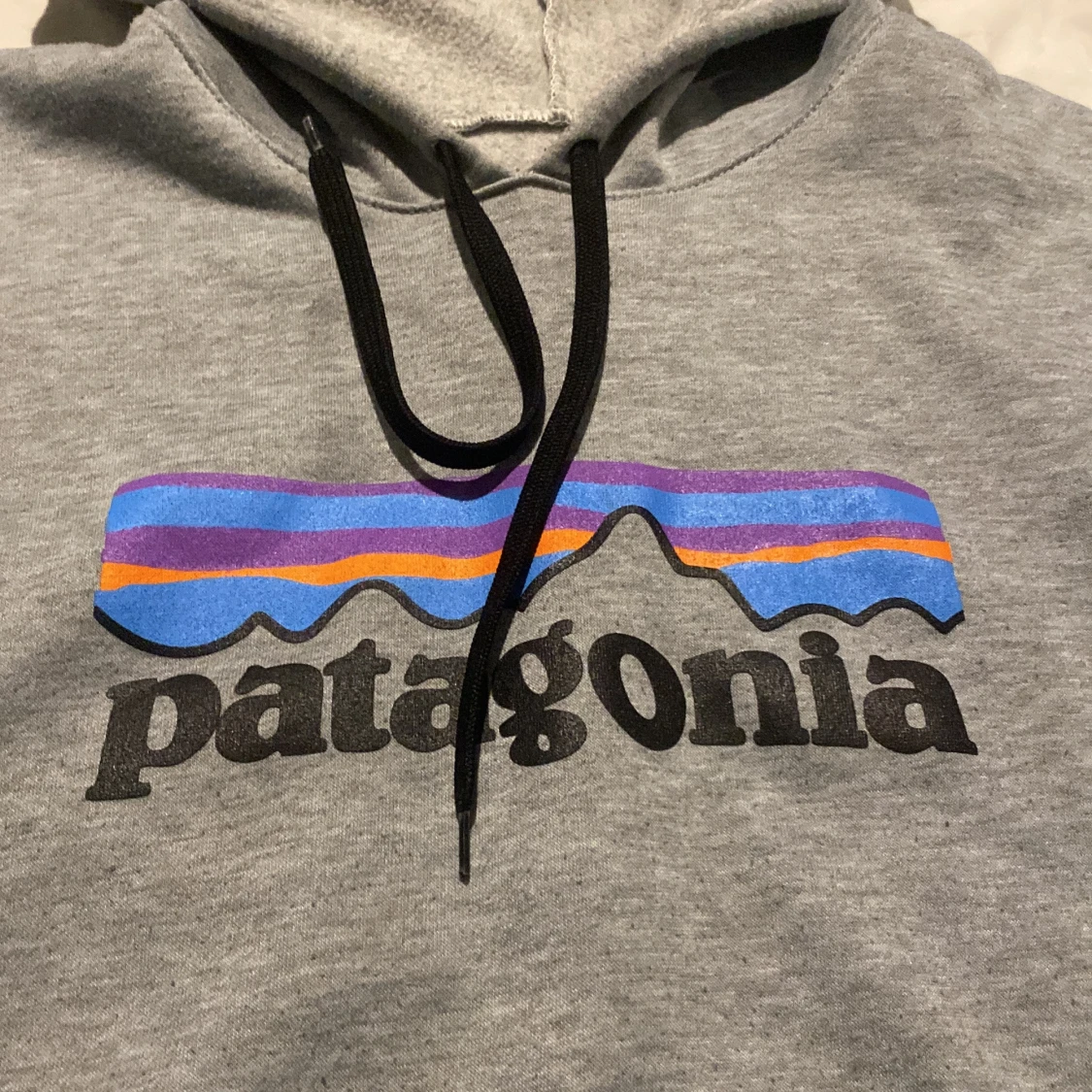 Grå Patagonia hoodie  - 1