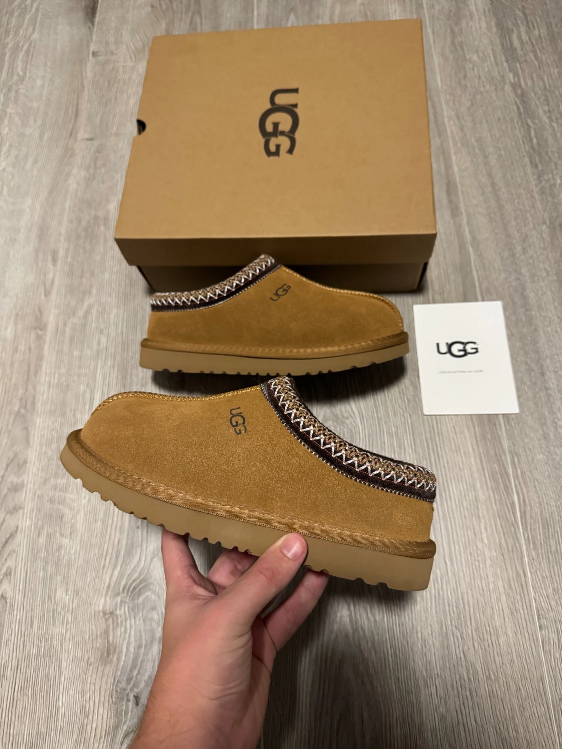 UGG TASMAN / CHESTNUT  