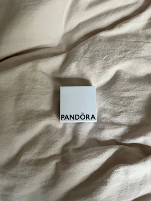 Pandora berlock  - I fint skick, säljer då den inte har används på ett tag🥰priset går att diskuteras 