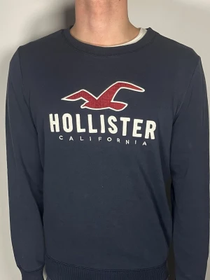 Hollister tröja - Säljer en riktigt snygg och trendig hollister tröja i fint skick, storlek L men sitter som M, vid frågor är det bara att skriva //Gramenti