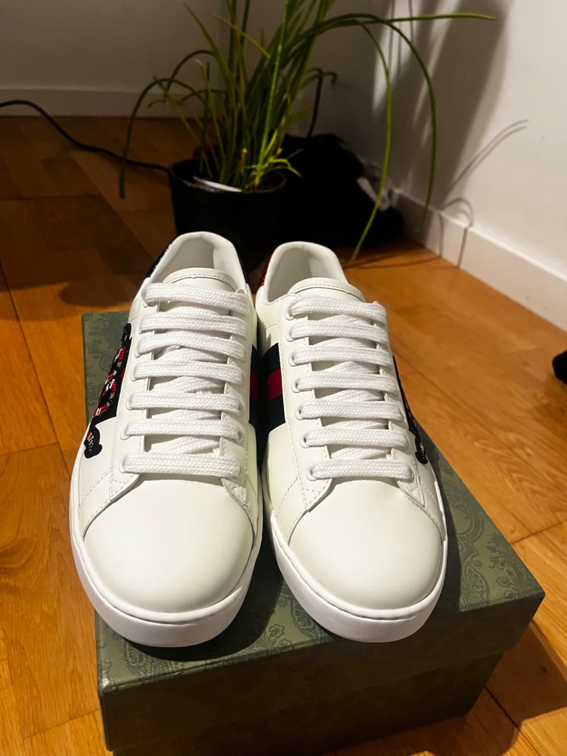 Gucci Ace sneakers orm - 1