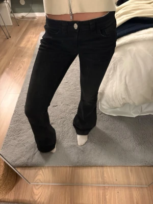 Svarta lågmidjade bootcut jeans  - Säljer ett par svarta lågmidjade jeans med bootcut, jeansen är använda max tre gånger och färgen är fortfarande lika svart. Jeansen är väldigt populära då dom är slut sålda💕💕jeansen är från Gina Young 