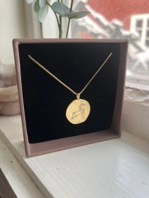 Guldigt halsband med stjärnteckenberlock - Snyggt halsband i guldfärg med rund berlock. Ena sidan har stjärntecknet lejonet med stenar och andra sidan har lejonet graverat. Aldrig andvänd just för att jag inte andvänder guld. Köpt på Åhléns för nått år sedan från märket pilgrim. Denna vara säljs inte längre i butik!