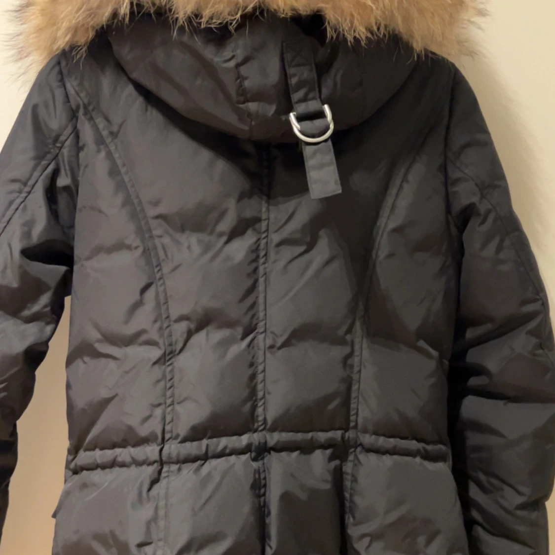 Hollies livingo  - 1