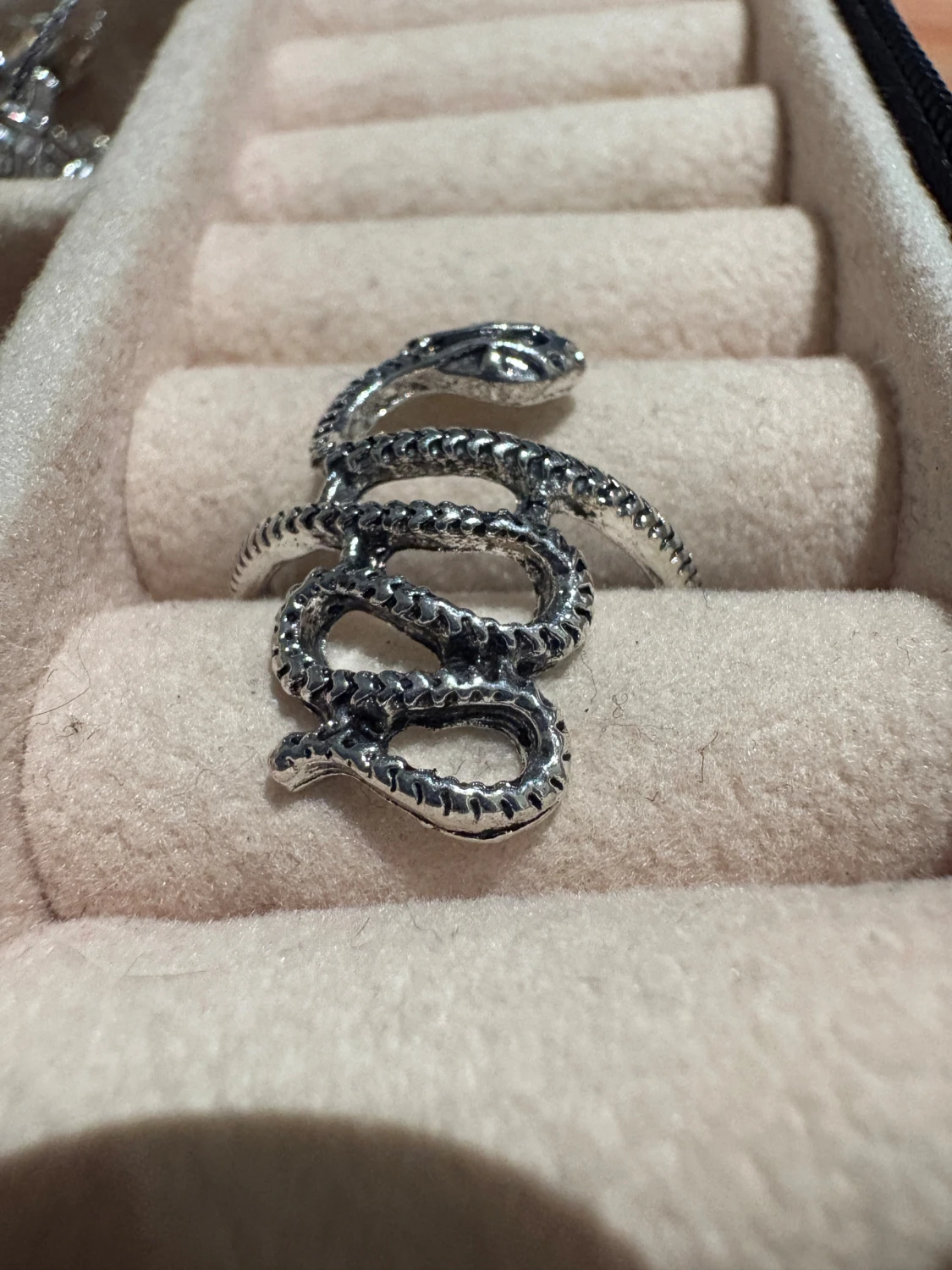 Silvrig ring med orm-design