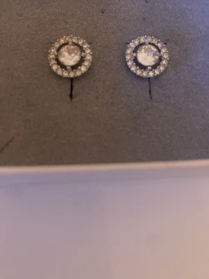 Örhängen  - Säljer ett par vackra silvriga örhängen 