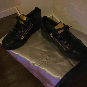 Giuseppe Zanotti - Snygga svarta sneakers från Giuseppe Zanotti med gulddetaljer och dragkedja på sidorna. Skorna har en elegant design med snörning och en platt sula. Perfekta för att ge en lyxig touch till din outfit. Skorna är ganska slitna, pris går att diskuteras. Dom har sprickor i sulan men de är inget som märks av när man använder dom