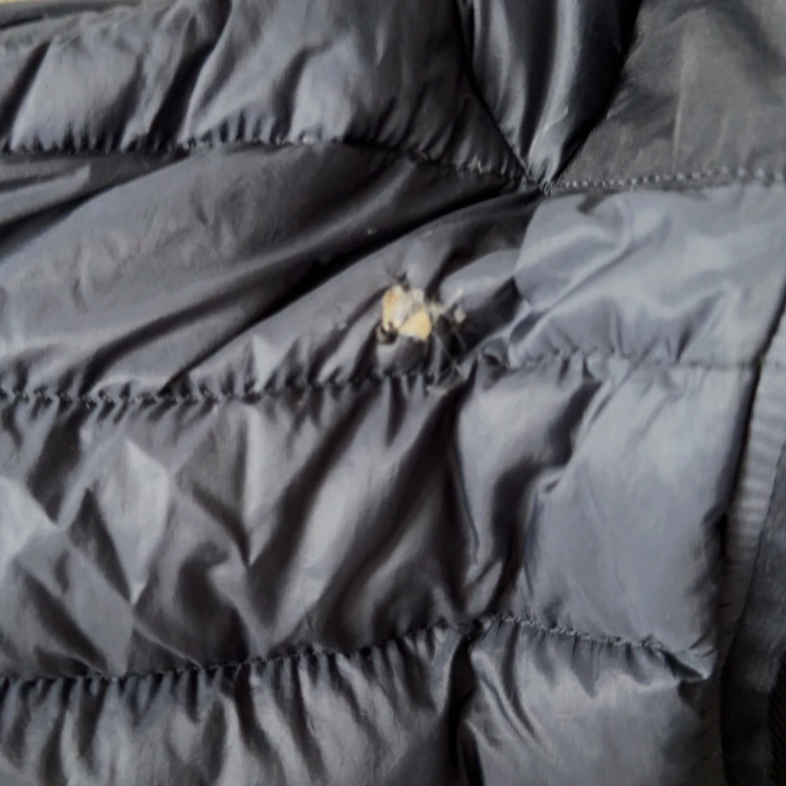 Mörkblå dunjacka från Stone Island - 2