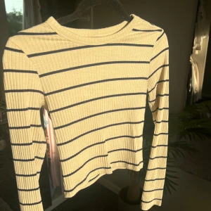 Söt randig topp - Söt beige långärmad topp med mörk blåa ränder.