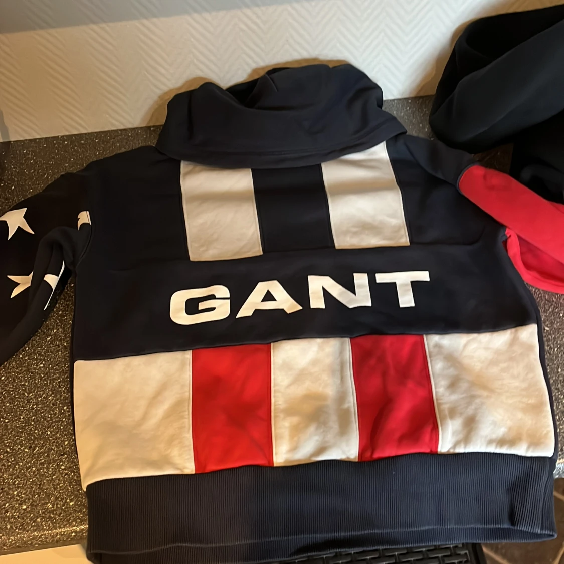 Gant hoddie