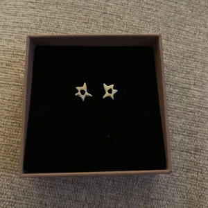 Örhängen Edblad - Säljer även dessa jättefina örhängen som matchar armbandet i min tidigare annons. Testade en gång och säljs pga att de ej kommer till användning 