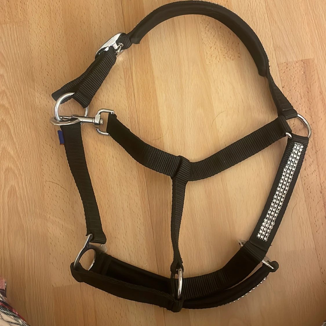 En oanvänd grimma ponny storlek - 1