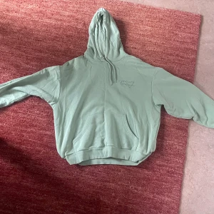 Ljusgrön hoodie - Säljer en ljusgrön hoodie från monki, bra skick, storlek S