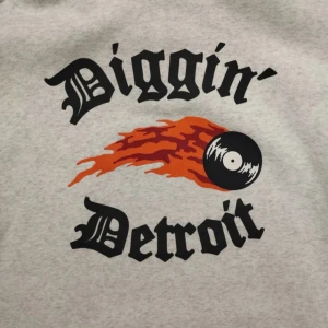Grå hoodie från H&M med tryck - Säljer en grå hoodie från H&M med texten 'Diggin' Detroit' och ett coolt tryck av en brinnande vinylskiva. Perfekt för en avslappnad stil med en touch av musikvibbar. Hoodien har en bekväm passform och är perfekt för kyliga dagar.