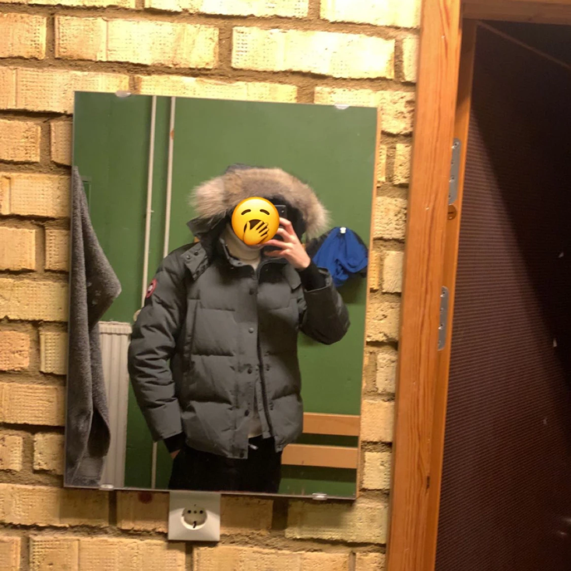 Canda goose wyndham parka 