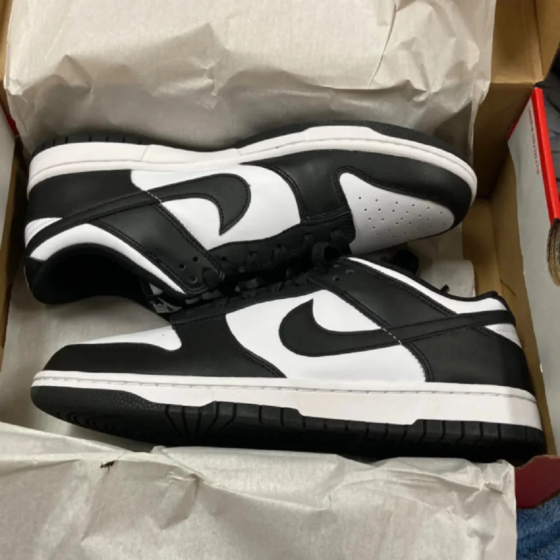 Nike Dunk i svart och vitt