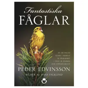 Den enda bok jag skulle sätta i händerna på en nybörjare är Fantastiska fåglar. /Anders Wirdheim, journalist & pressansvarig, BirdlifeEn bevingad guide i hjärtat av fågelriket full av passion och upptäckarlust!Fantastiska fåglar är en vacker, underhållande och faktaspäckad bok om våra vanligaste fåglar, som alla har fantastiska egenskaper och beteenden. Vi ser konstant fåglar i vår omgivning och många matar dem i sin trädgård, men fåglarna tas också för givet. Med den här boken vill författaren och fågelskådaren Peder Edvinsson få fler att verkligen upptäcka fågeln. Svenskar fåglar i fokus Den här boken utgår från fåglarnas viktigaste livsingredienser som boende, familj, jakt och mat. Längs med denna fascinerande resa, med fantastiska bilder av fotografen Hans Falklind, lär vi känna våra vanligaste arter. Många andra fågelböcker tävlar om vilken som visar flest arter till slut blir det så många att det inte går att ta in. I den här boken ligger fokus istället på de fåglar vi faktiskt kan se i vår vardag, i Sverige, på fåglarnas roll för miljön och människan liksom fascinerande fågelfakta överlag. Nyfikna läsare bjuds också på en vägledande guide till fågelskådning. Om författarenFantastiska fåglar är journalisten och författaren Peder Edvinsson tredje bok. 2018 gav han ut den hyllade och uppmärksammade Elda i vedspis. Vad många inte vet är att Peder, redan innan han skaffade sin första vedspis var en passionerad fågelskådare. Idag är han också medlem i exklusiva Club 300, föreningen för fågelskådare som har sett 300 arter eller fler. 2020 debuterade han, tillsammans med journalisten Peter Gropman, även som poddare med Fåglar finns, en svensk podcast om fåglarna i vår absoluta närhet. ____________________Faktarik, underhållande och tipsrik