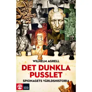  Det dunkla pusslet är en lyckad, lärorik och inte minst välskriven bok, om ett spännande och högaktuellt ämne. Borås Tidning  Spioner - vi associerar dem med efterkrigstiden, högteknologiska avlyssningsredskap, Stasi och James Bond. Men deras historia går betydligt längre tillbaka än så. Redan de äldsta imperiebyggarna i Asien och kring Medelhavet hade sina olika former av kunskapare och förmedling av känslig information. Med det elisabetanska England nåddes nya höjder inom kryptografi, förfalskning och tjuvläsning av förseglade brev under statssekreteraren Sir Francis Walsingham, 