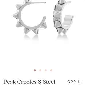 Örhängen edblad - Sparsamt använda, fint skick Säljs för att jag använder bara guld smycken🥰