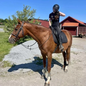 SCHABRAK  - Snyggt svart schabrak, har också lindor och huva till, dressyr storlek full, 🖤250kr för bara schabraket , 500kr hela sättet.