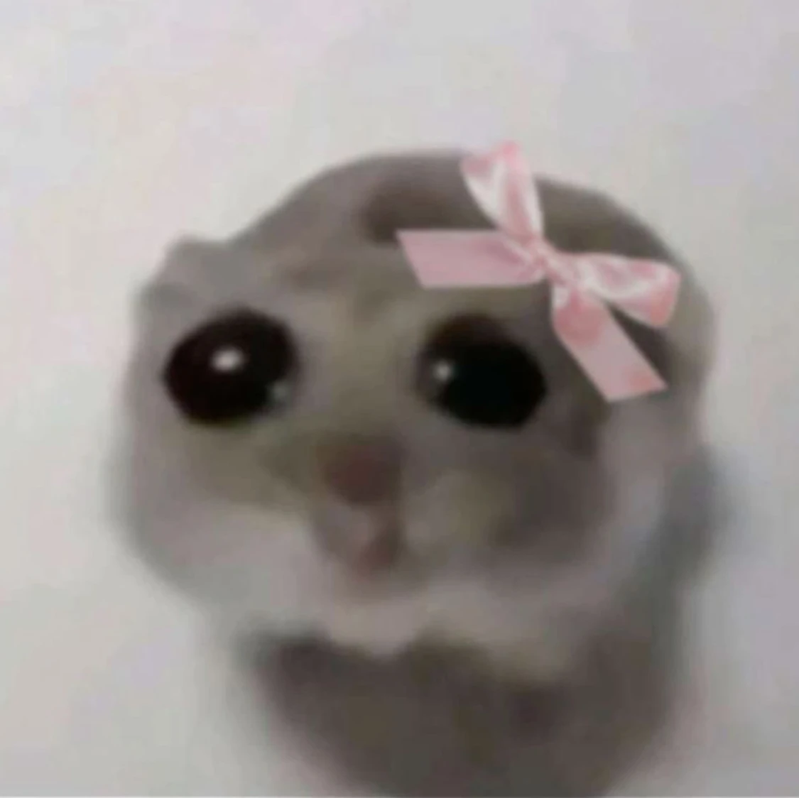 Sad hamster plush🎀 - 91