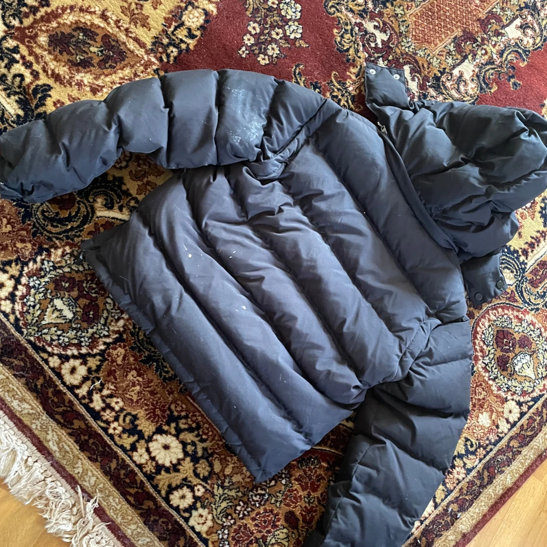 Corvidae jacka  - 90