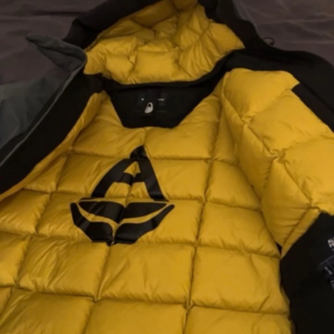 Sail racing pole down - 91