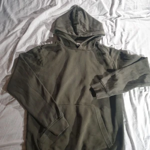 Grön Hoodie - Grön Hoodie storlek 158/164. Mycket bra skick, säljer för att den är för liten för mig.