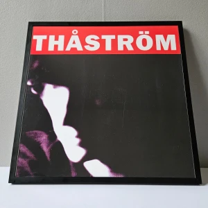 Thåström - Albumaffisch, 31.5x31.5cm - Thåström - Thåström albumaffisch, 31.5x31.5cm. Helt ny - Passar bra i IKEAs tavelram Lomviken!  Skickas i papprulle - Ramen ingår inte!