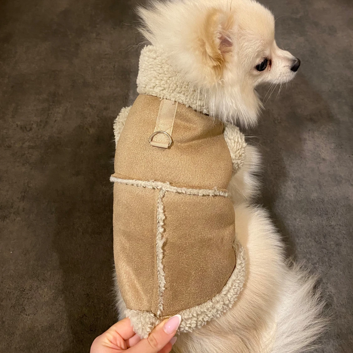 Beige teddyjacka för hund