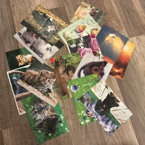  - Säljer olika kort med olika motiv i samma storlek. 16 bilder för 30kr eller 5kr styck. Vill man se tydligare bilder är det bara att höra av sig 