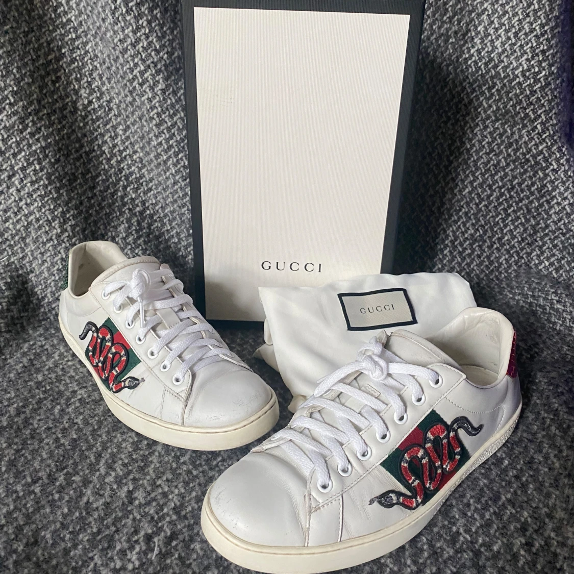 Gucci ace snake skor