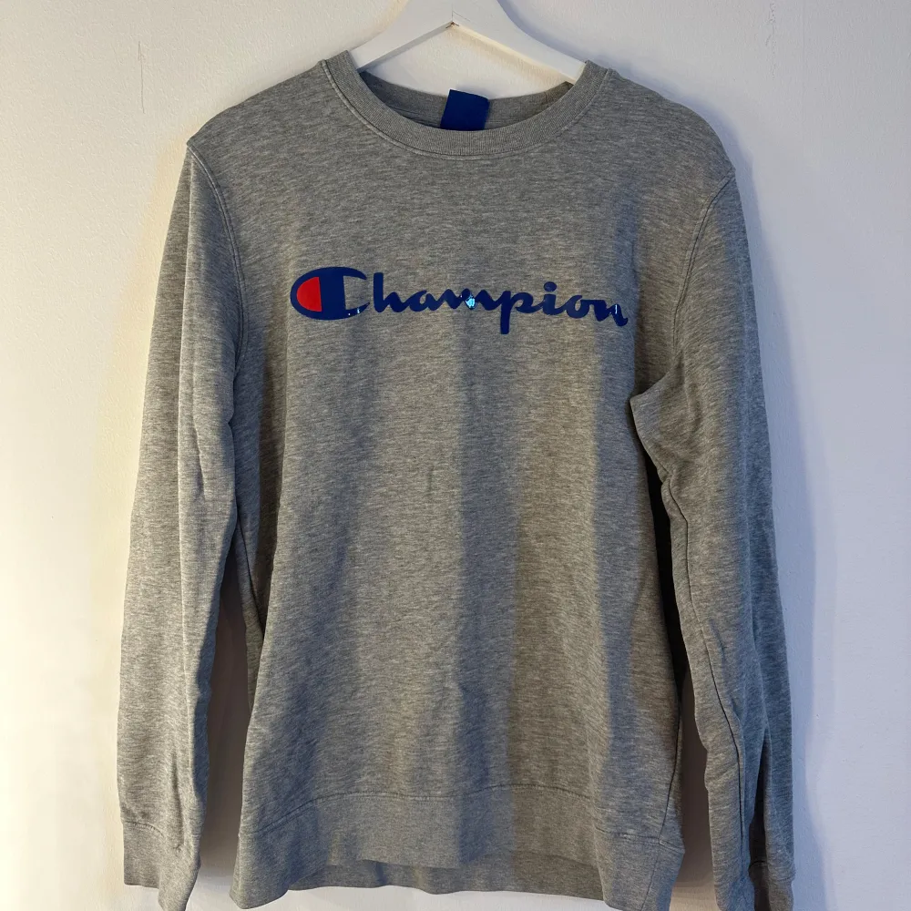 Grå champion tröja i storlek S. Fint skick. . Hoodies.