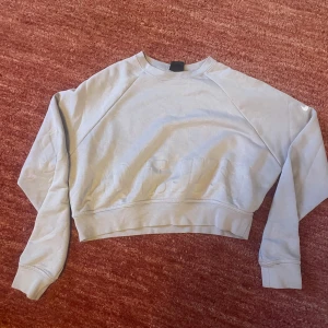 Grå sweatshirt från Nike - Säljer en grå sweatshirt från Nike.. Nike-loggan syns diskret på ärmen. Jättebra skick. Storlek Xs. Passar perfekt för träning  