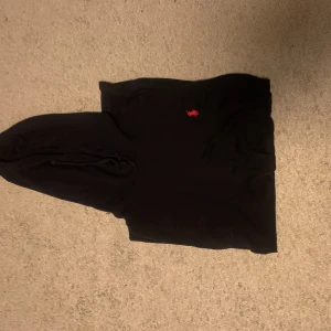 Tunn Ralph Lauren hoodie - En tunn Ralph lauren hoodie, i t-shirt material ungefär. Tröjan har ett litet hål på ärmen, går dock lätt att sy. Storlek S.