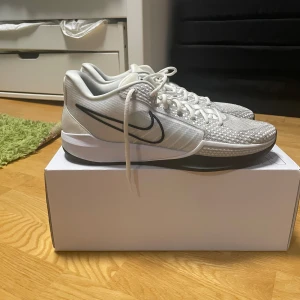 Custom Sabrina 1s basket skor - PRIS FÖRHANDLINGS BART!!  Snygga Sabrina 1s custom (med box). Fräscha basket skor i bra skick