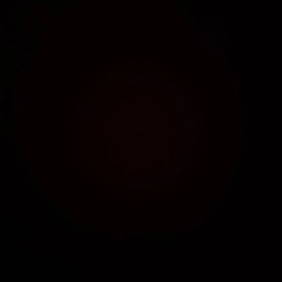 Svart dunjacka med pälsdetaljer - 4