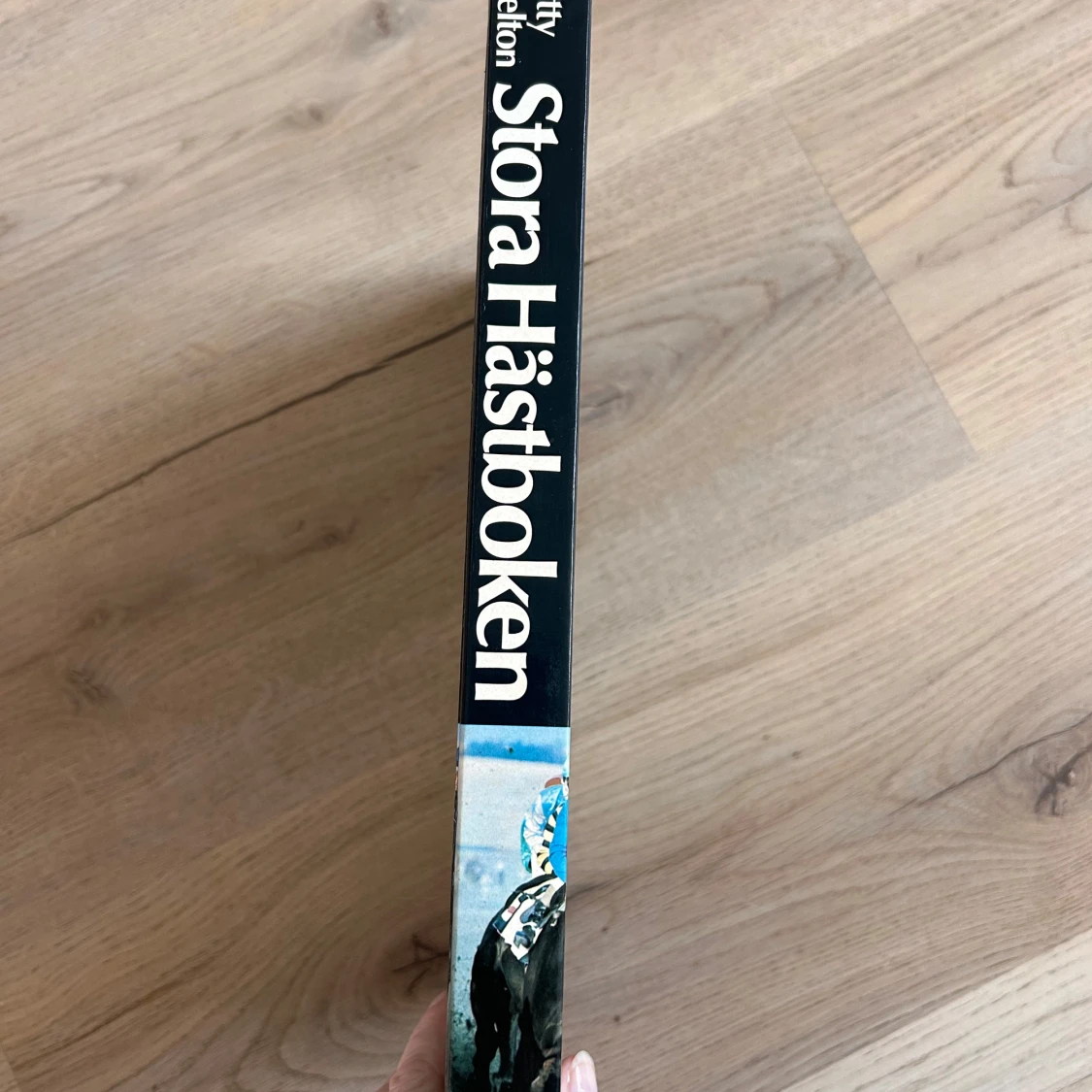 Stora Hästboken - 1