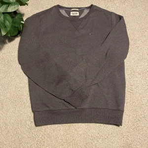 Grå tröja från Hilfiger Denim - Säljer en stilren grå tröja från Hilfiger Denim. Tröjan har en liten logotyp på bröstet och rund halsringning. Perfekt för en avslappnad look. Priset kan gå ner 