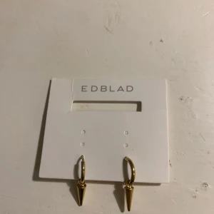Örhängen Edblad  - Helt nya Edblad örhängen, aldrig använda. Ny pris 349 säljer för 200! Pris kan diskuteras!