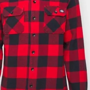 Flanellskjorta Dickies  - Säljer denna flanellskjorta då det inte är min stil längre och den bara tar upp plats i garderoben. Inga märken på den eller att den är sliten någonstans, funderar du på något, kan du gärna höra av dig, priset är ej hugget i sten. 
