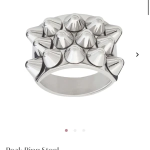 Edblad ring - Säljer min ring från Edblad i slutsåld storlek  Köp direkt 290kr!