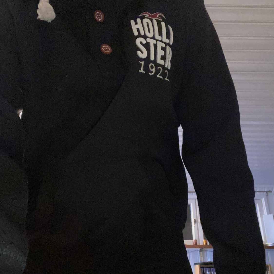 Hollister hoodie