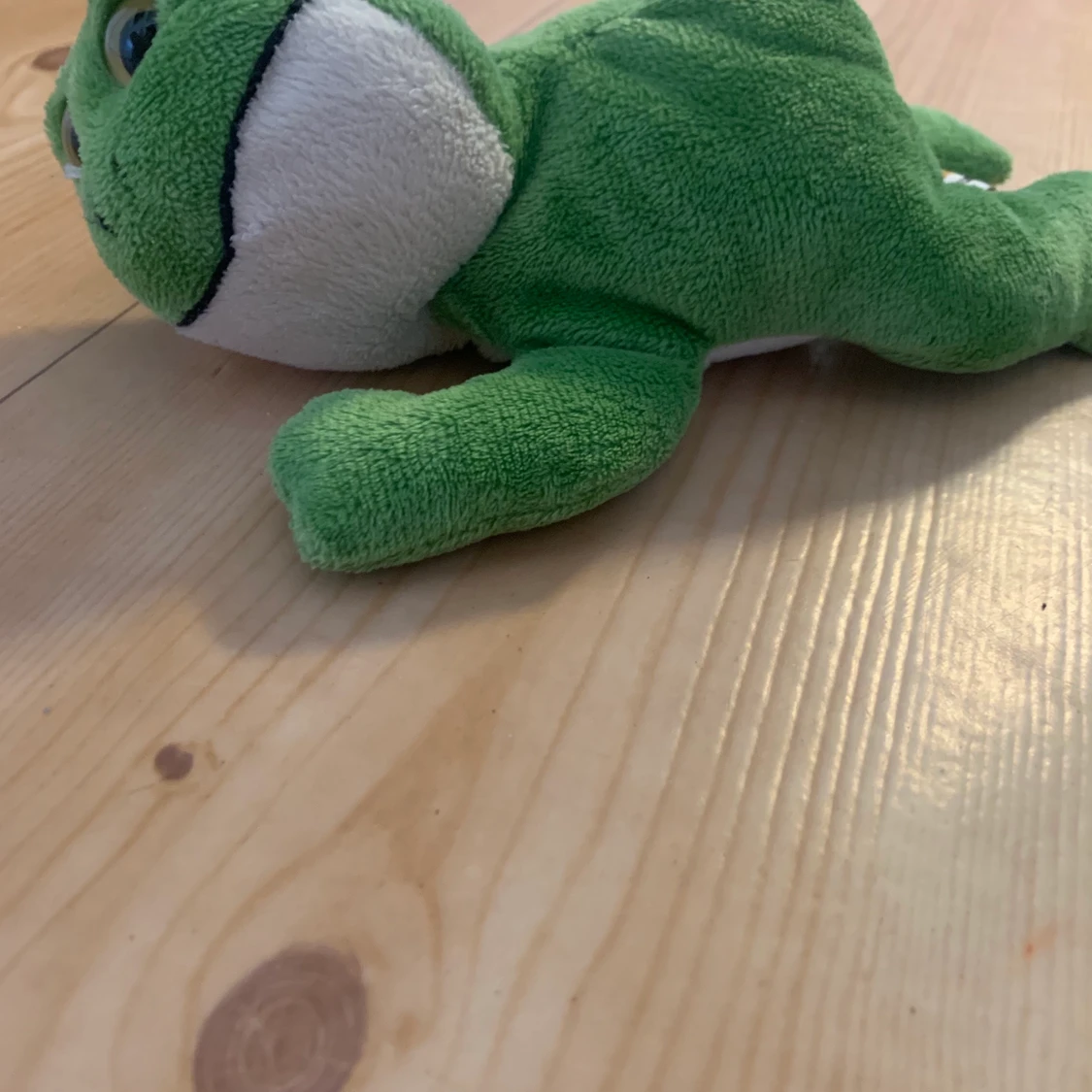 Liten gullig groda  - 76