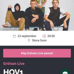 Hov1 konsert  - Säljer min hov1 biljett 